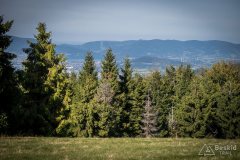 img_0737