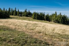 img_0739