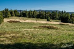 img_0741
