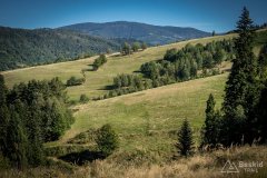 img_0747