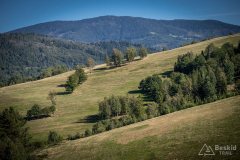 img_0748