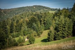 img_0752
