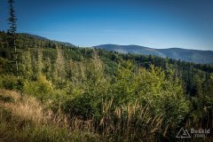 img_0757