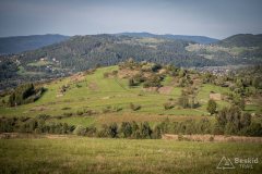 img_0764