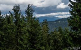 img_0810