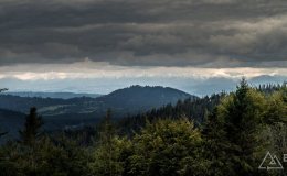 img_0823