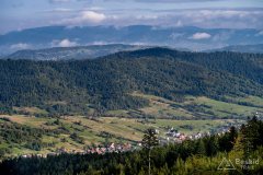 img_0784