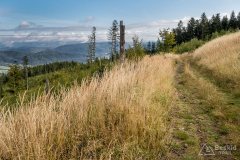 img_0786