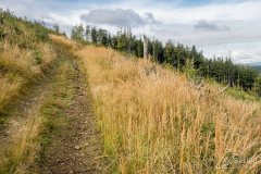 img_0787