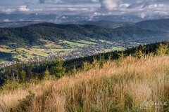 img_0789
