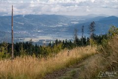 img_0790