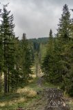 img_0791