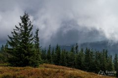 img_0792