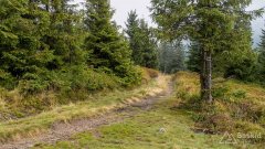 img_0793