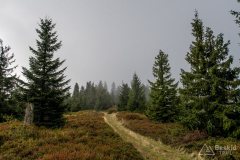 img_0795