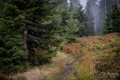 img_0796