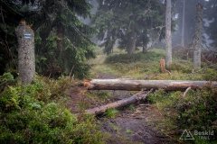 img_0798