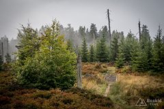 img_0801