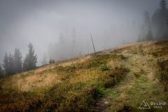 img_0803