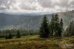img_0804