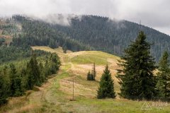 img_0805