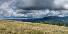 img_0806