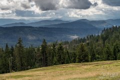 img_0807