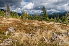 img_0808