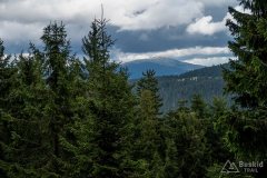 img_0810