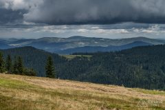 img_0813