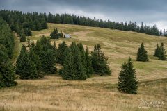 img_0816