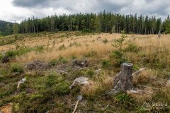 img_0820