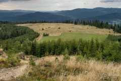 img_0821