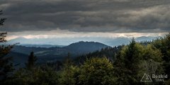 img_0823