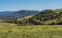 img_0831
