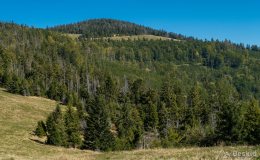 img_0844
