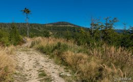 img_0848