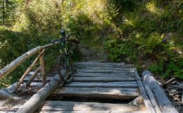 img_0853