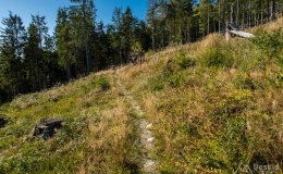 img_0859