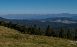 img_0874