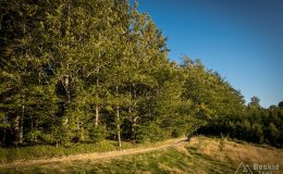 img_0902