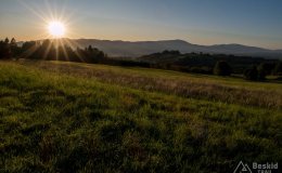 img_0904