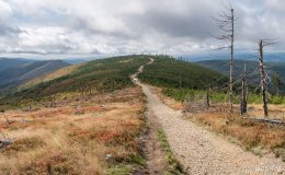 img_0930