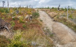 img_0937