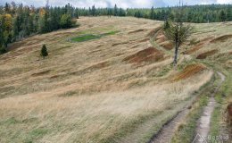 img_0972