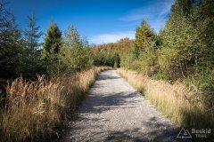 img_1003