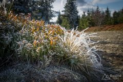 img_1006