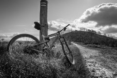 img_1009