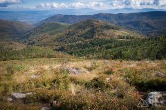 img_1012