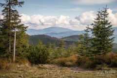 img_1015